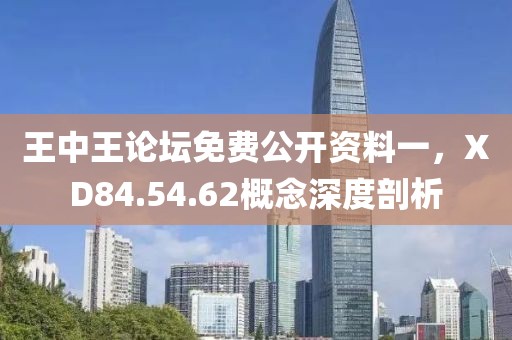 王中王論壇免費公開資料一，XD84.54.62概念深度剖析