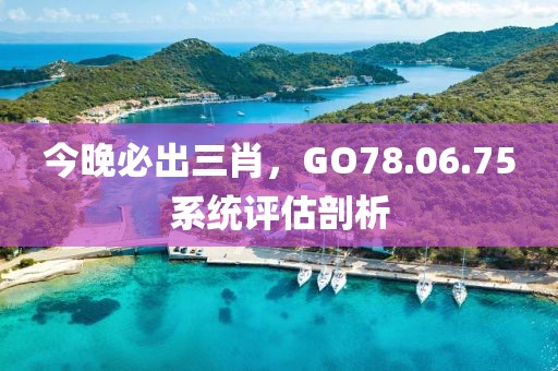 今晚必出三肖，GO78.06.75系統(tǒng)評(píng)估剖析