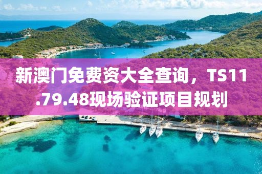 新澳門免費資大全查詢，TS11.79.48現(xiàn)場驗證項目規(guī)劃