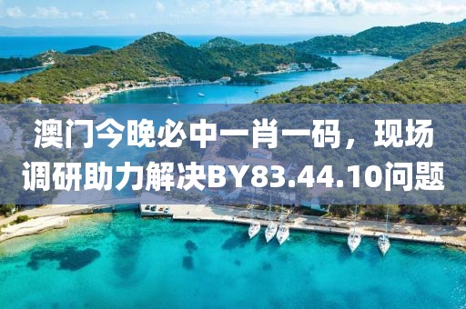 澳門今晚必中一肖一碼，現(xiàn)場調(diào)研助力解決BY83.44.10問題