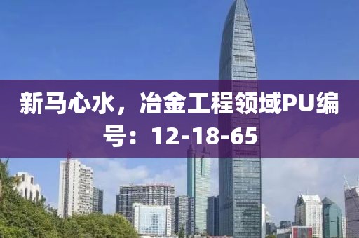 新馬心水，冶金工程領(lǐng)域PU編號(hào)：12-18-65