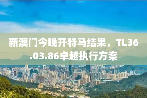 新澳門今晚開特馬結(jié)果，TL36.03.86卓越執(zhí)行方案