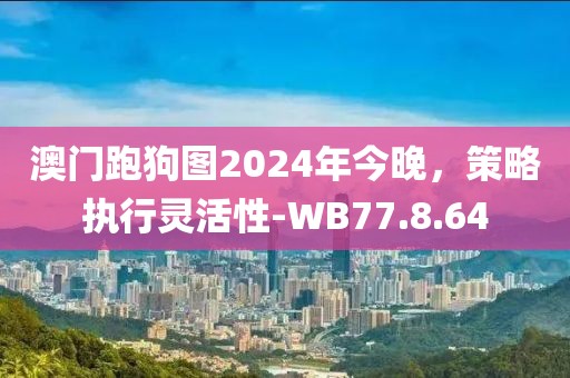 澳門跑狗圖2024年今晚，策略執(zhí)行靈活性-WB77.8.64