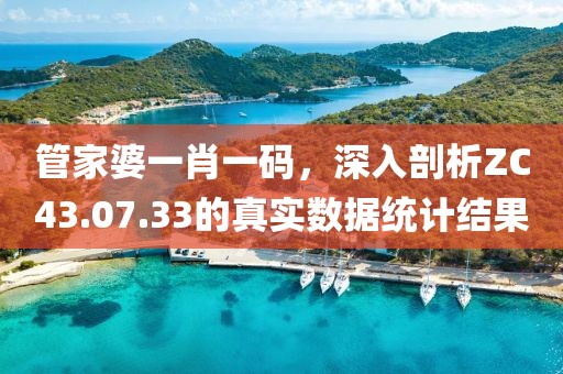 管家婆一肖一碼，深入剖析ZC43.07.33的真實(shí)數(shù)據(jù)統(tǒng)計(jì)結(jié)果