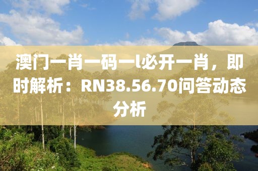 澳門一肖一碼一l必開一肖，即時解析：RN38.56.70問答動態(tài)分析