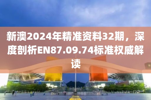 新澳2024年精準資料32期，深度剖析EN87.09.74標準權(quán)威解讀