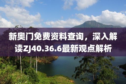 新奧門免費(fèi)資料查詢，深入解讀ZJ40.36.6最新觀點(diǎn)解析