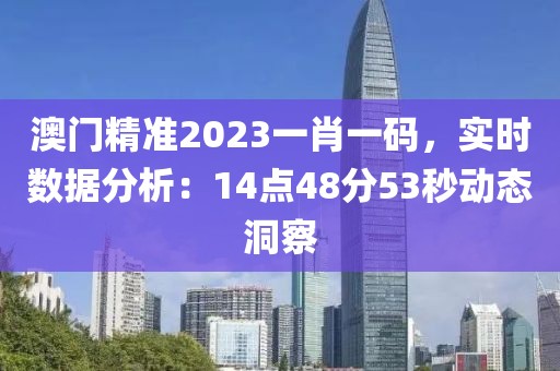 澳門精準2023一肖一碼，實時數(shù)據(jù)分析：14點48分53秒動態(tài)洞察
