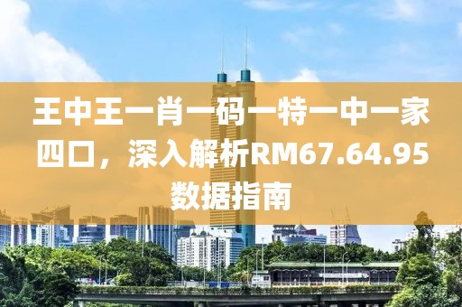 王中王一肖一碼一特一中一家四口，深入解析RM67.64.95數(shù)據(jù)指南