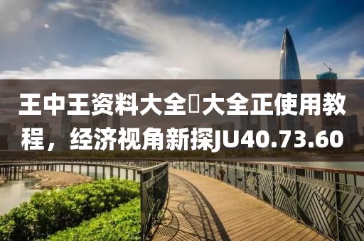 王中王資料大全枓大全正使用教程，經(jīng)濟(jì)視角新探JU40.73.60