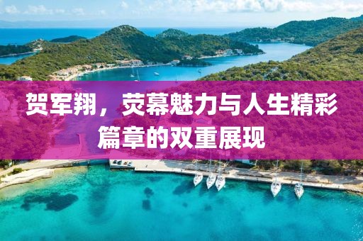 賀軍翔，熒幕魅力與人生精彩篇章的雙重展現(xiàn)