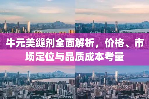 牛元美縫劑全面解析，價(jià)格、市場定位與品質(zhì)成本考量