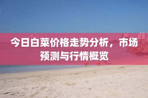 今日白菜價(jià)格走勢分析，市場預(yù)測與行情概覽