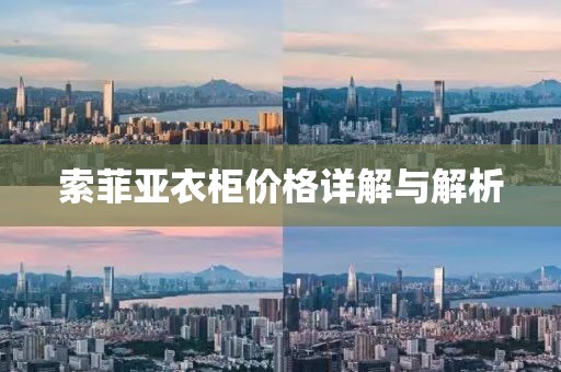 索菲亞衣柜價(jià)格詳解與解析