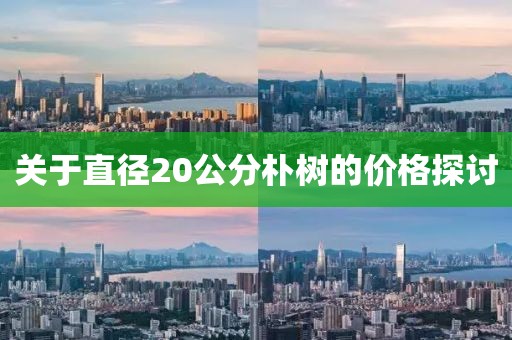 關(guān)于直徑20公分樸樹的價(jià)格探討