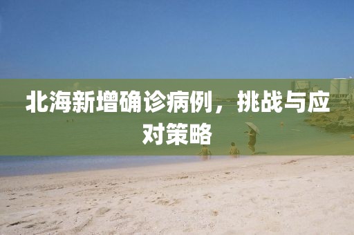 北海新增確診病例，挑戰(zhàn)與應(yīng)對(duì)策略