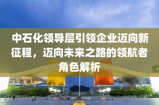 中石化領(lǐng)導(dǎo)層引領(lǐng)企業(yè)邁向新征程，邁向未來(lái)之路的領(lǐng)航者角色解析