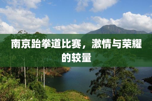 南京跆拳道比賽，激情與榮耀的較量