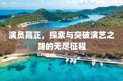 演員高正，探索與突破演藝之路的無盡征程