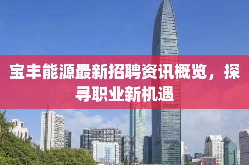 寶豐能源最新招聘資訊概覽，探尋職業(yè)新機(jī)遇