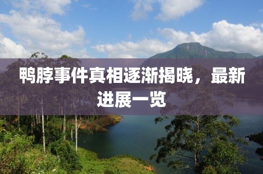 墨染幾許紅葉 第27頁