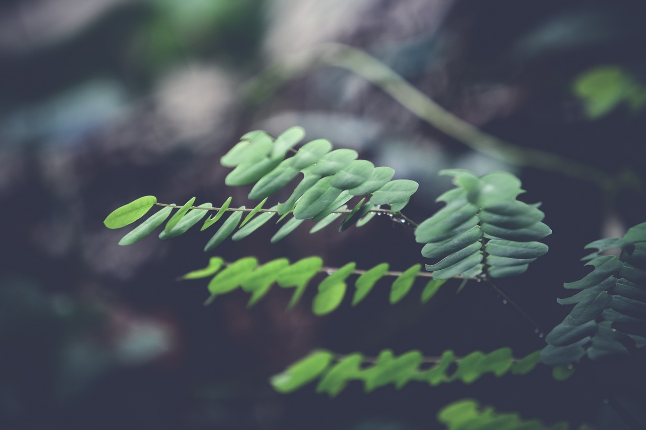 最新詩歌，時代之聲與生命之美的探索