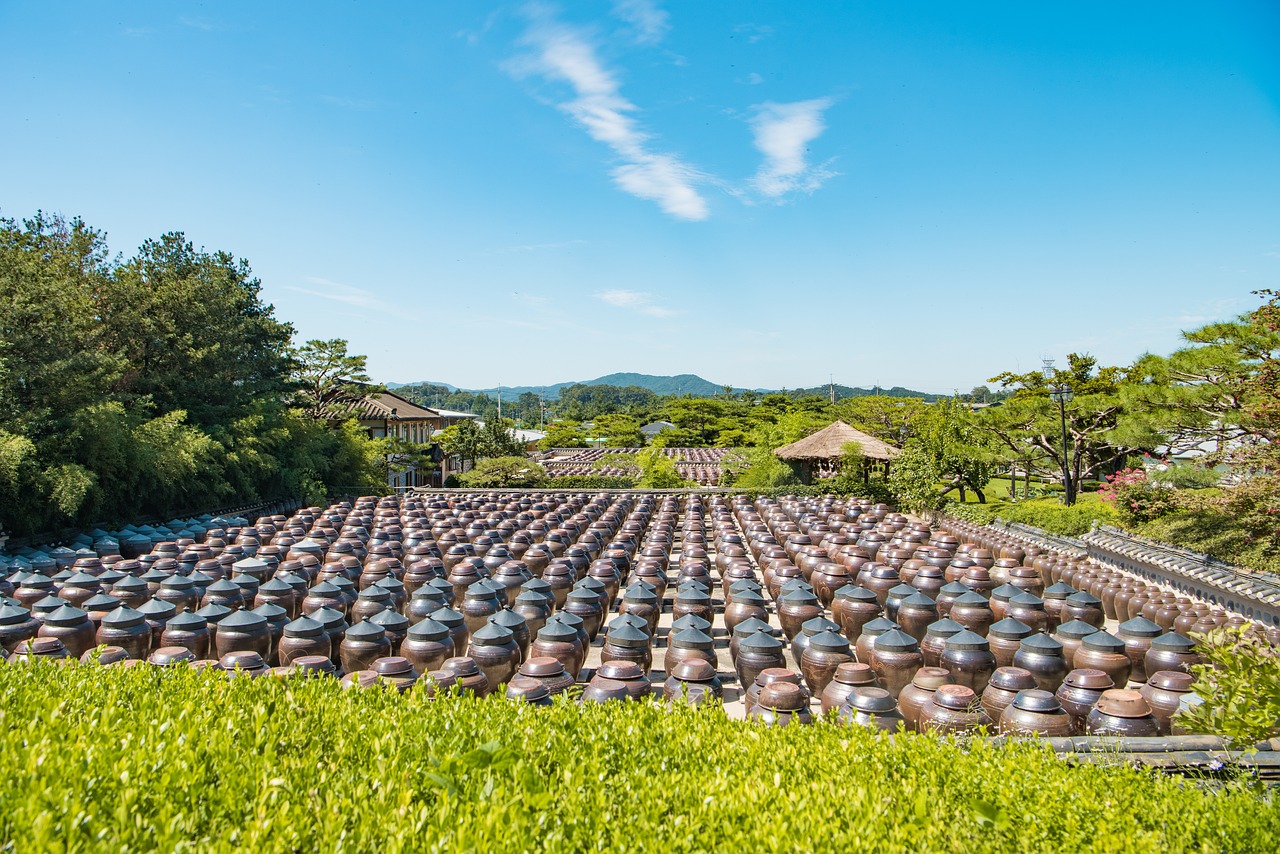 探索智慧農(nóng)業(yè)未來(lái)之路，慧耕思新篇新探