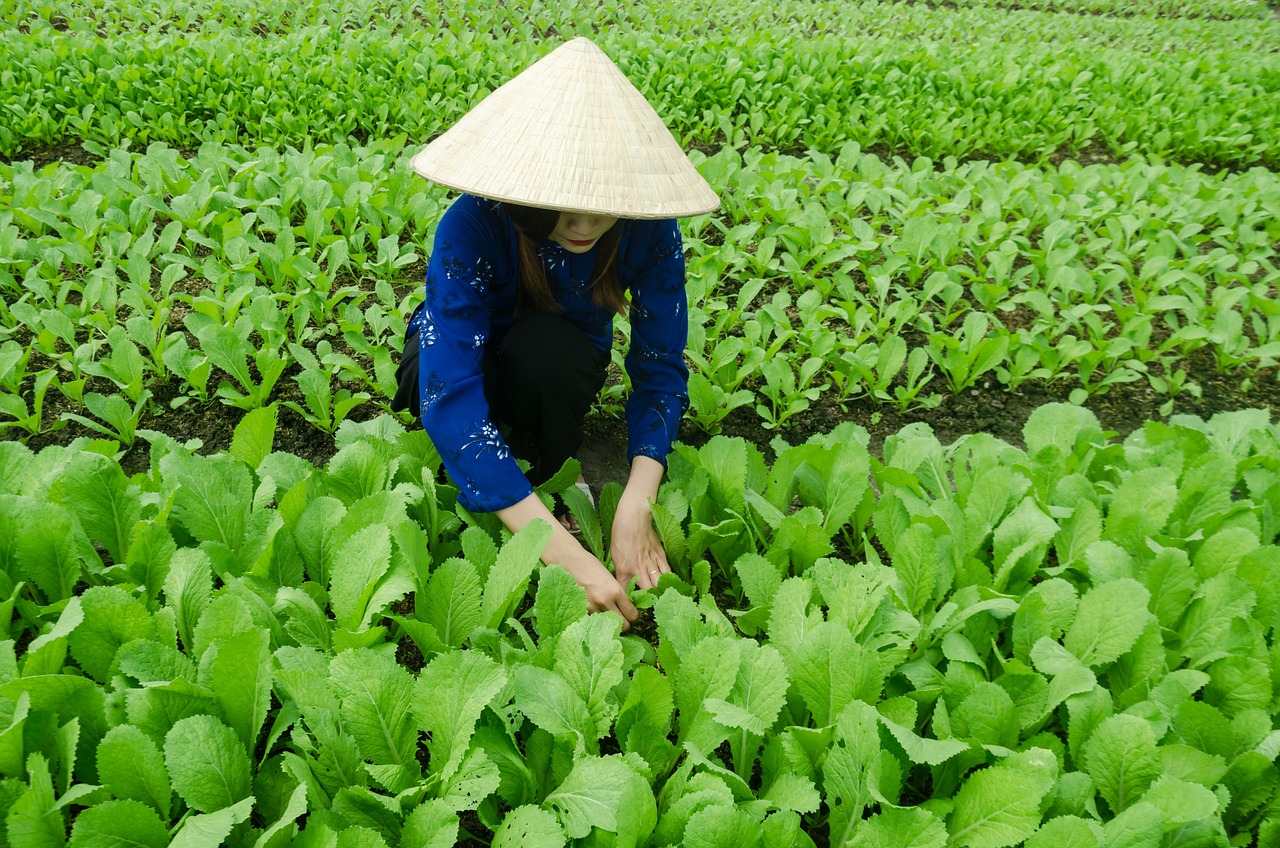 嫩江新聞速遞，最新動態(tài)與進(jìn)展