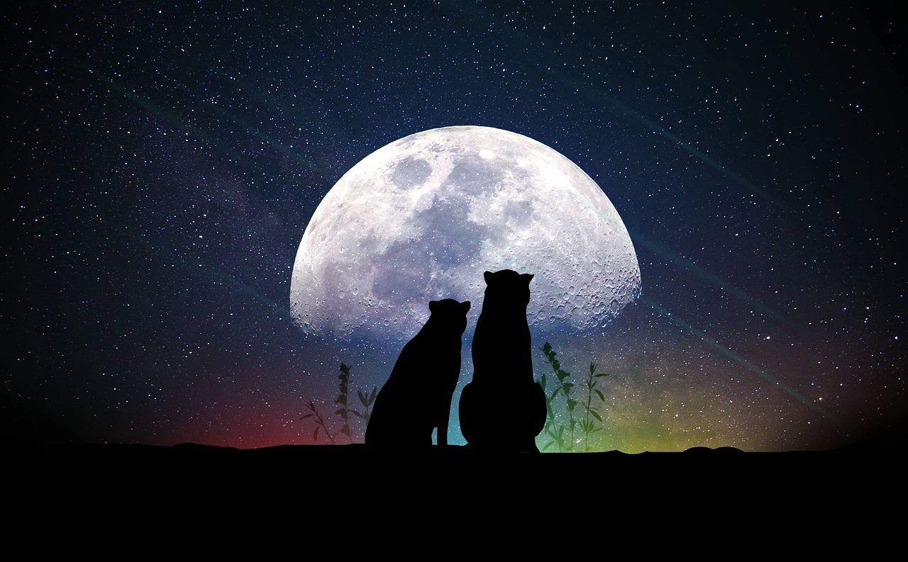 明星與成長之路，光芒背后的故事探索