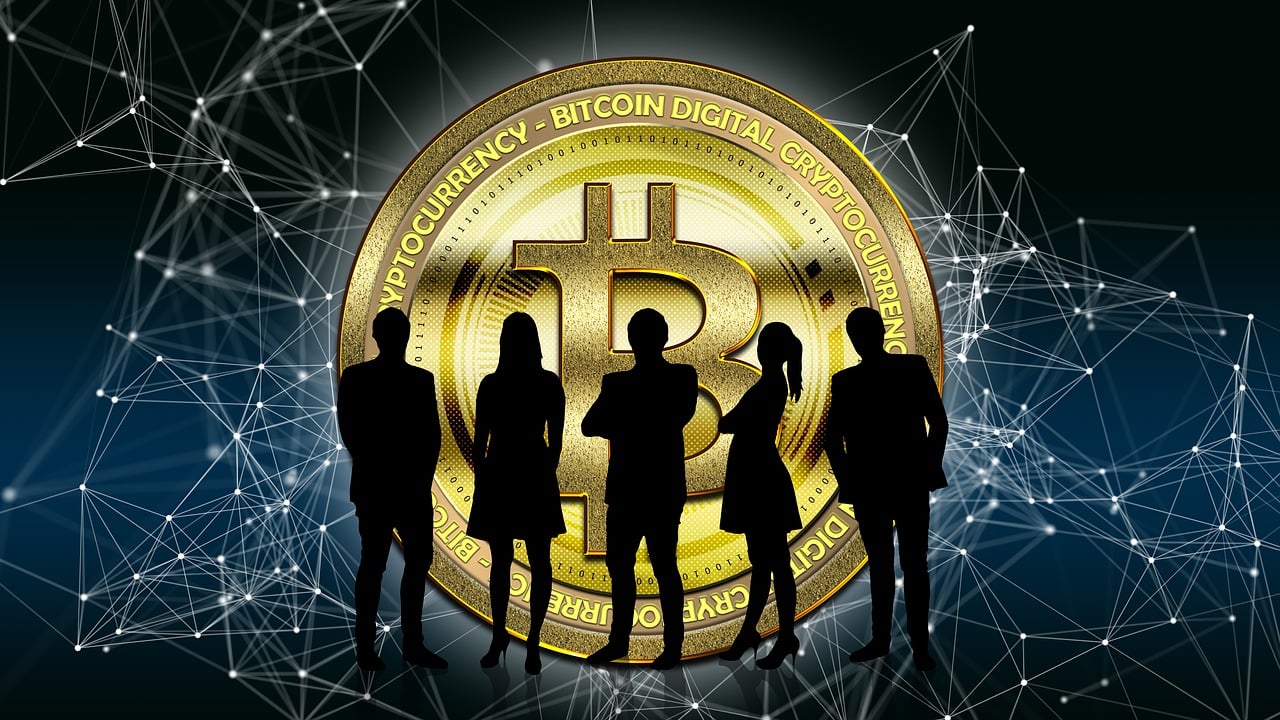 鵬鼎科技股票，引領(lǐng)數(shù)字世界的先鋒力量