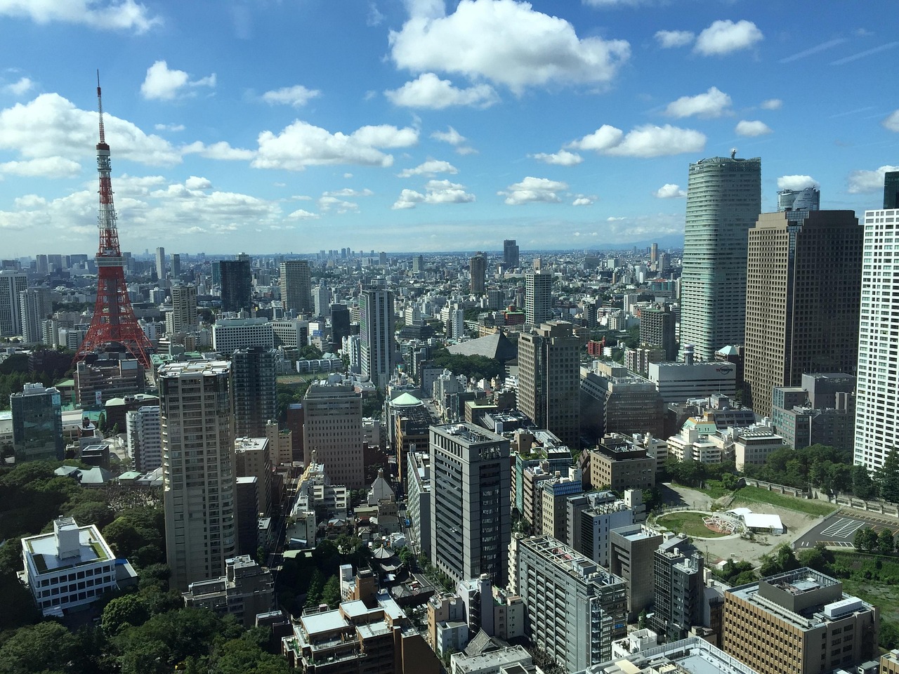全國廢紙價格最新行情分析與趨勢預測