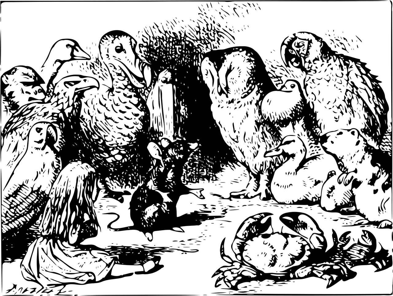 海賊王漫畫最新更新，熱血冒險(xiǎn)新篇章開啟